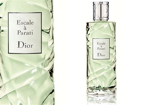 escale à parati dior|DIOR .